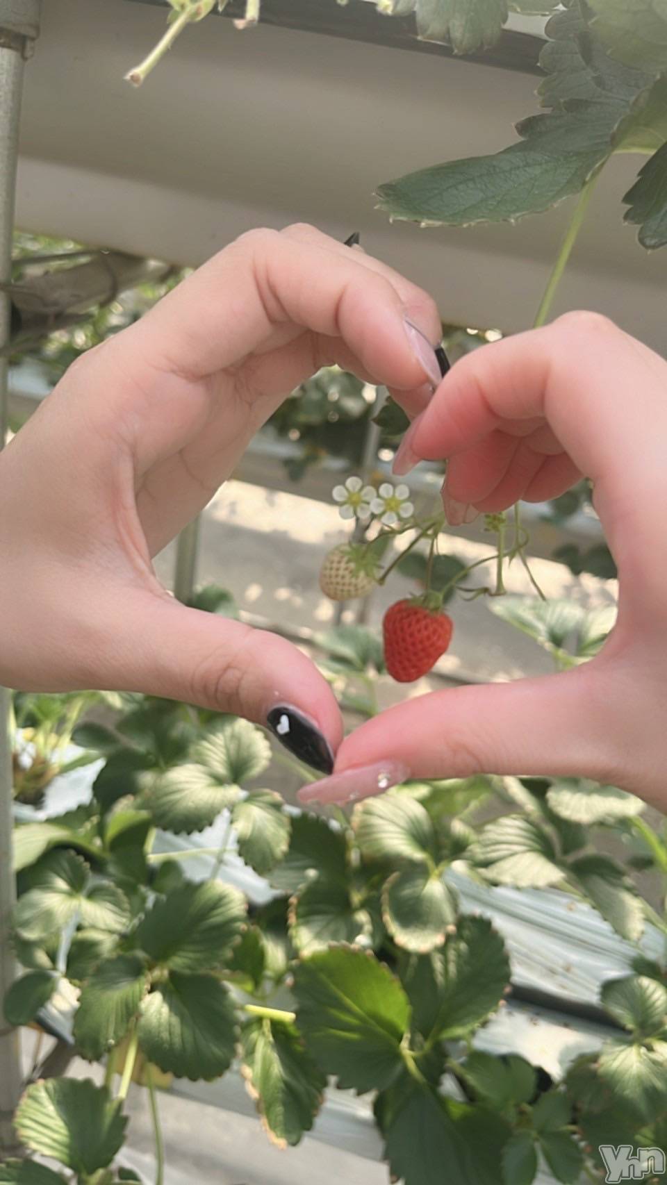 ���ܥ���Х��顦�����BRILLAR(�֥ꥸ�㡼��) ��2025ǯ3��25���̥�֥�����🍓#3��