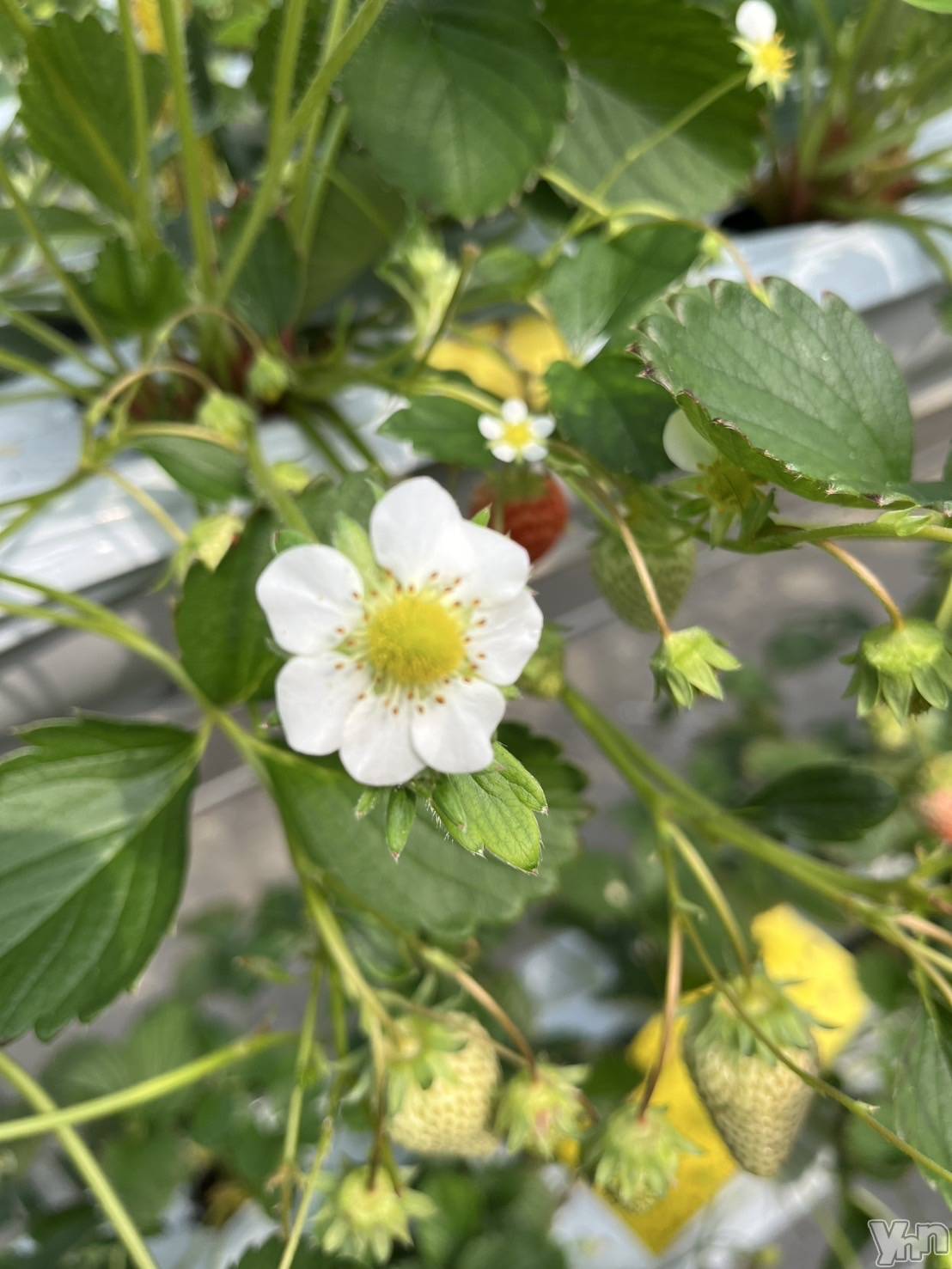 ���ܥ���Х��顦�����BRILLAR(�֥ꥸ�㡼��) ��2025ǯ4��10���̥�֥�����☀️#9��