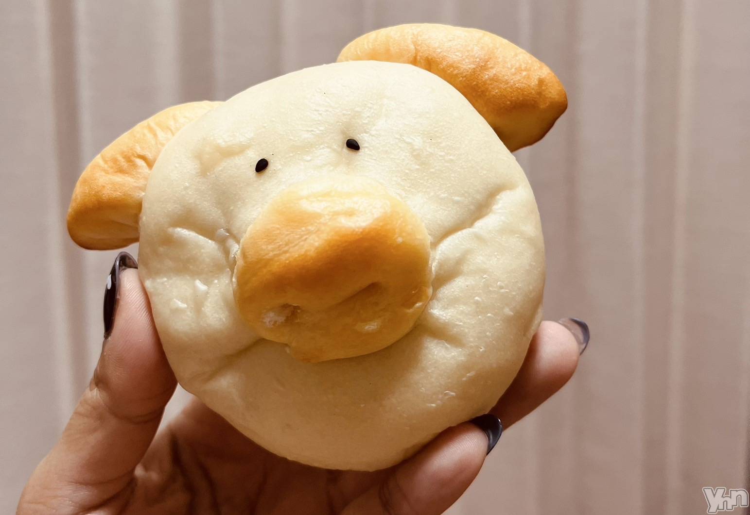 ���ܥ���Х��顦�����BRILLAR(�֥ꥸ�㡼��) ��2025ǯ4��10���̥�֥�����🐷#10��