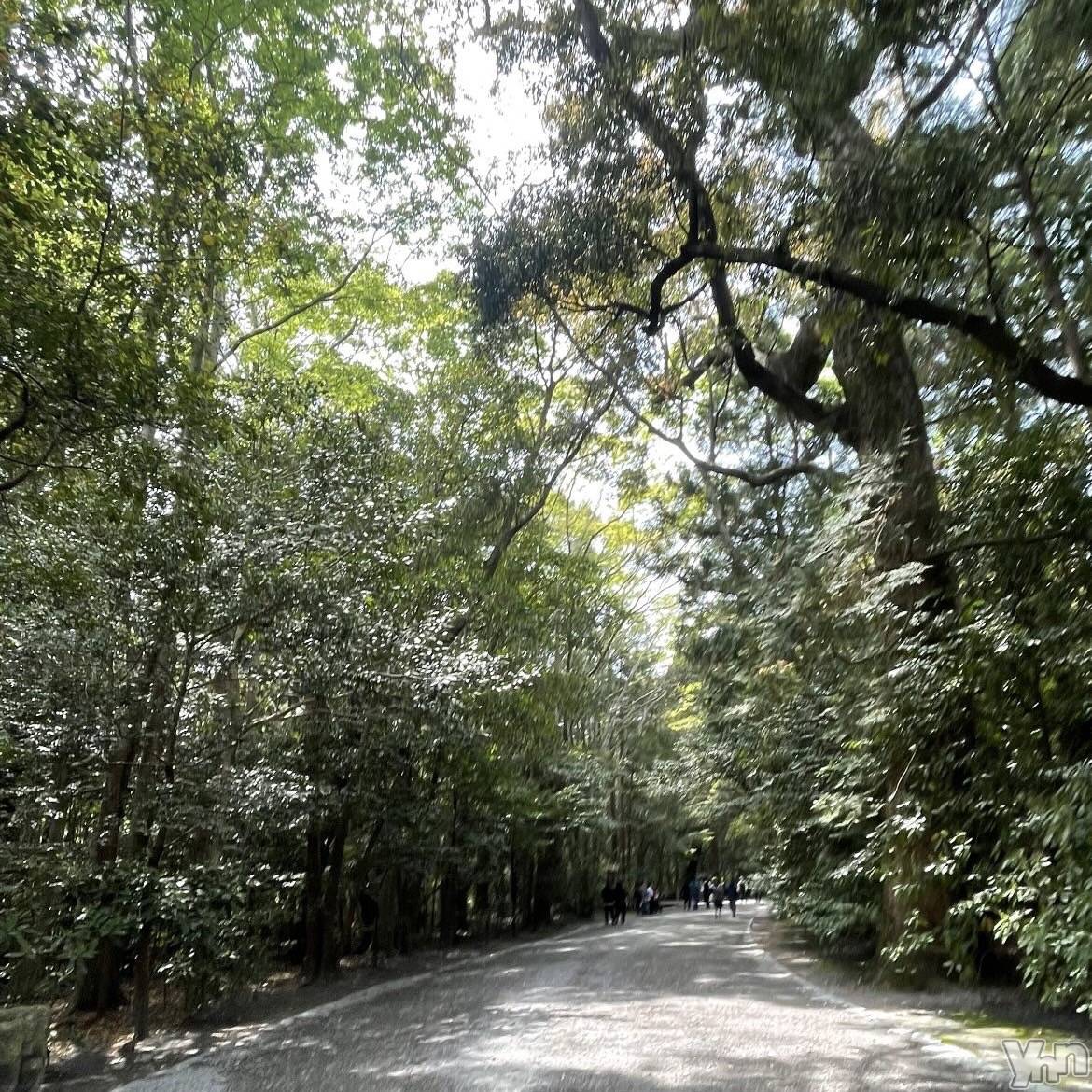 ���ܥ���Х��顦�����BRILLAR(�֥ꥸ�㡼��) ��2025ǯ4��19���̥�֥�����#16��