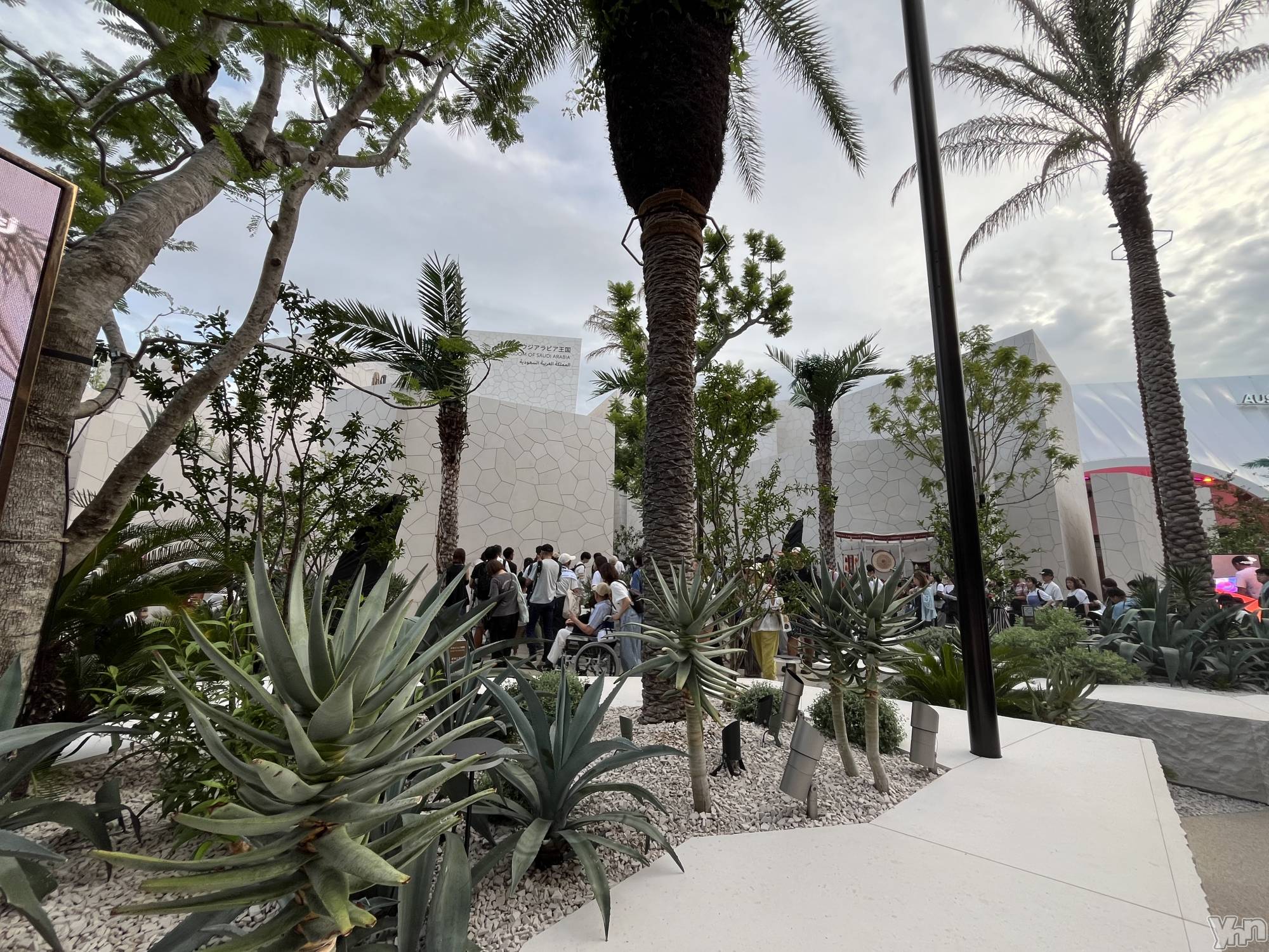 ���ܥ���Х��顦�����BRILLAR(�֥ꥸ�㡼��) ��2025ǯ9��18���̥�֥����֤�ä�����💓��