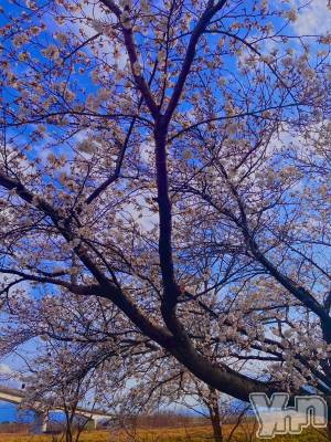 ���ܥ���Х��顦�����BRILLAR(�֥ꥸ�㡼��) �ʤʤߤ�3��31���̥�֥�����🌸#6��