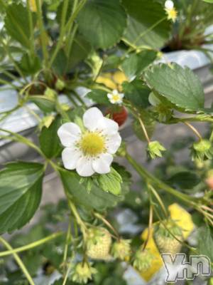 ���ܥ���Х��顦�����BRILLAR(�֥ꥸ�㡼��) �ʤʤߤ�4��10���̥�֥�����☀️#9��