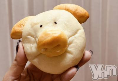 ���ܥ���Х��顦�����BRILLAR(�֥ꥸ�㡼��) �ʤʤߤ�4��10���̥�֥�����🐷#10��