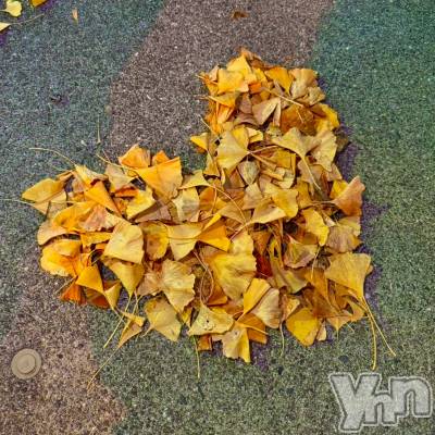 ���ܥ���Х��顦�����BRILLAR(�֥ꥸ�㡼��) �ʤʤߤ�5��4���̥�֥�����#27��