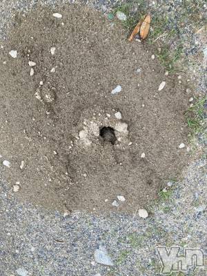 ���ܥ���Х��顦�����BRILLAR(�֥ꥸ�㡼��) �ʤʤߤ�7��13���̥�֥����֤����ޤΤʤ��ߡ�