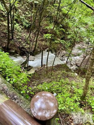 ���ܥ���Х��顦�����BRILLAR(�֥ꥸ�㡼��) �ʤʤߤ�8��14���̥�֥����֡�☁️��