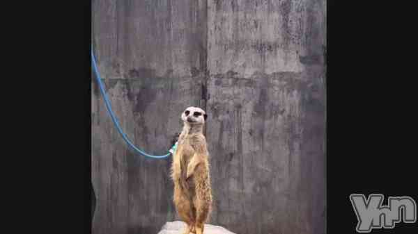 �ֺǶ�λ�#59��