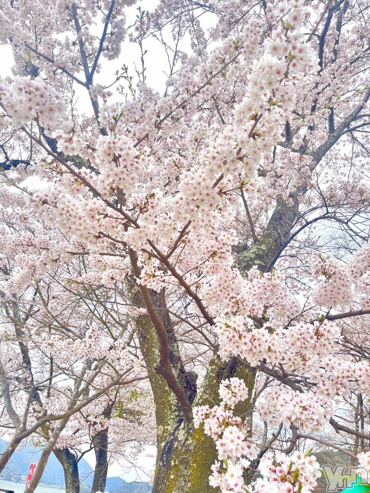 ���ܥ���Х��顦�����BRILLAR(�֥ꥸ�㡼��) �椭��4��22���̥�֥�����🤍��