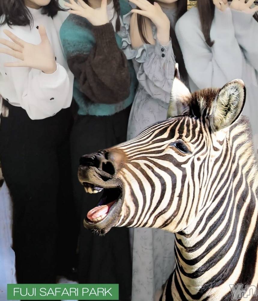 ���ܥ���Х��顦�����BRILLAR(�֥ꥸ�㡼��) �椭��5��8���̥�֥�����💚��