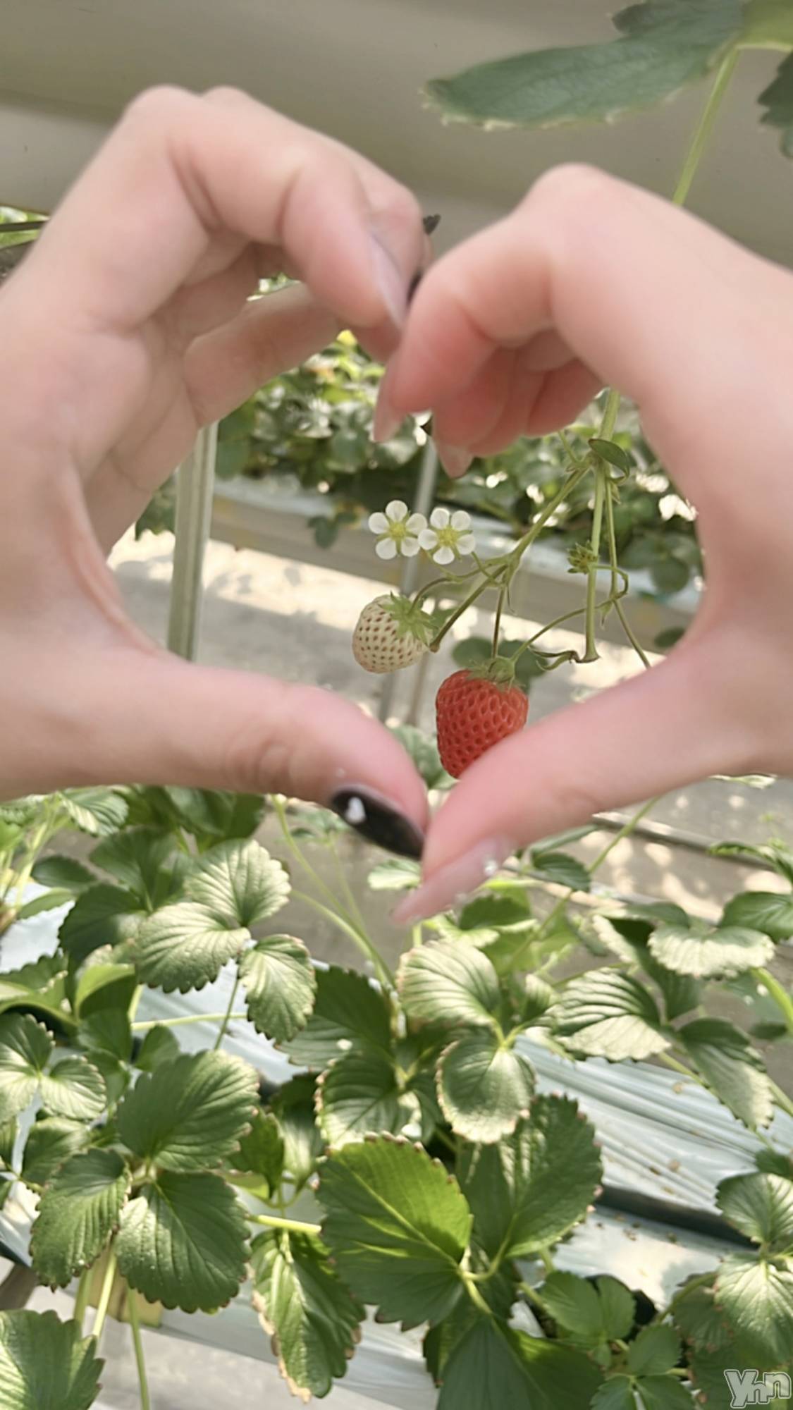 ���ܥ���Х��顦�����BRILLAR(�֥ꥸ�㡼��) ��2025ǯ3��29���̥�֥�����🩵��