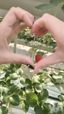 ���ܥ���Х��顦�����BRILLAR(�֥ꥸ�㡼��) �椭��3��29���̥�֥�����🩵��