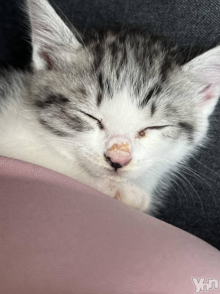 ���ܥ���Х��顦�����BRILLAR(�֥ꥸ�㡼��) �ʥʤ�6��16���̥�֥����֤��ᤳ�����