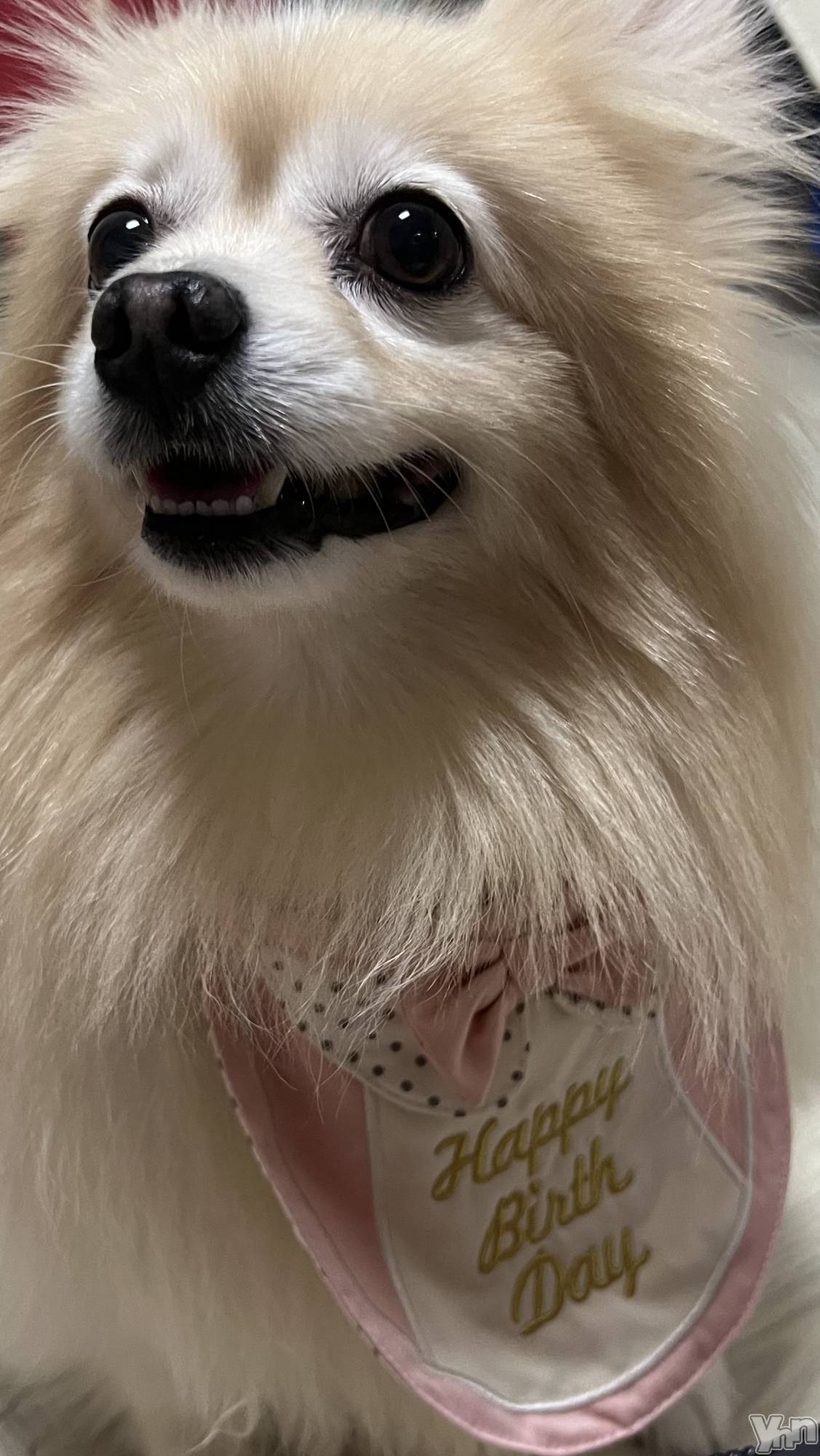 ���ܥ���Х��顦�����BRILLAR(�֥ꥸ�㡼��) ��2025ǯ6��2���̥�֥����ְ�������������