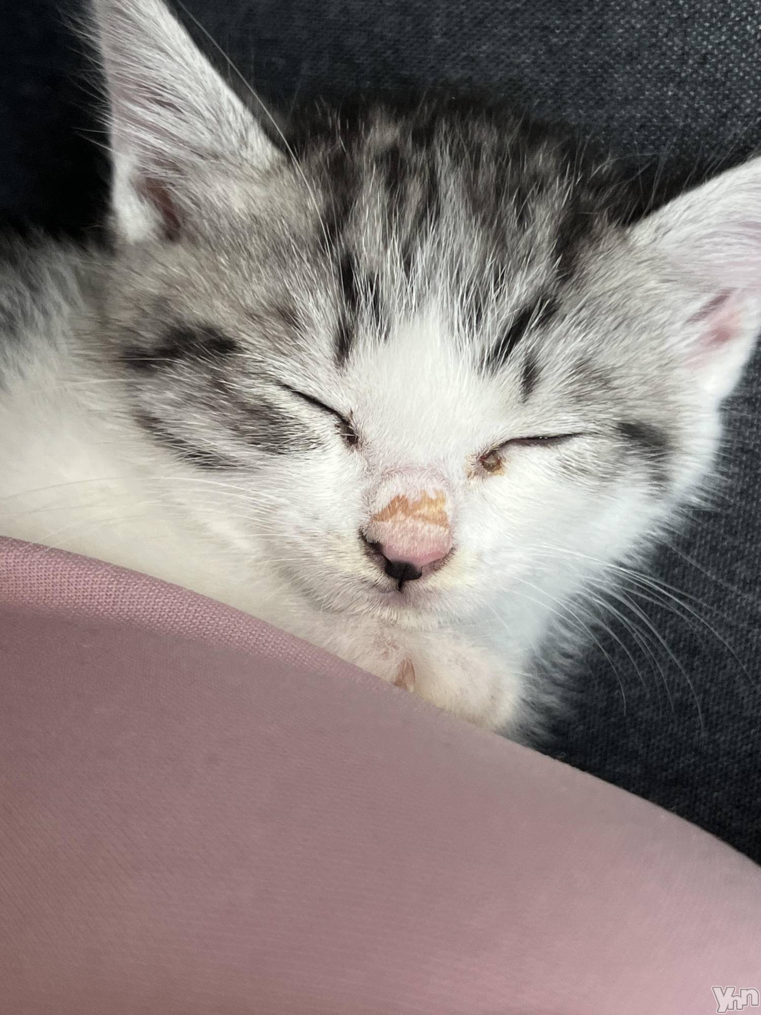 ���ܥ���Х��顦�����BRILLAR(�֥ꥸ�㡼��) ��2025ǯ6��16���̥�֥����֤��ᤳ�����