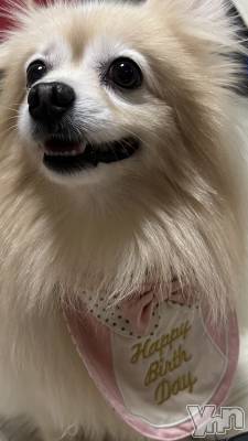 ���ܥ���Х��顦�����BRILLAR(�֥ꥸ�㡼��) ����(23)��6��2���̥�֥����ְ�������������