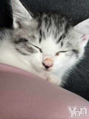 ���ܥ���Х��顦�����BRILLAR(�֥ꥸ�㡼��) ����(23)��6��16���̥�֥����֤��ᤳ�����