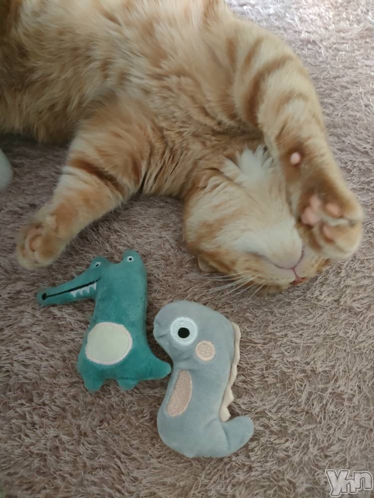 ���ܥ���Х��顦�����BRILLAR(�֥ꥸ�㡼��) ������3��31���̥�֥�����ฅ^•��•^ฅ�ˤ���