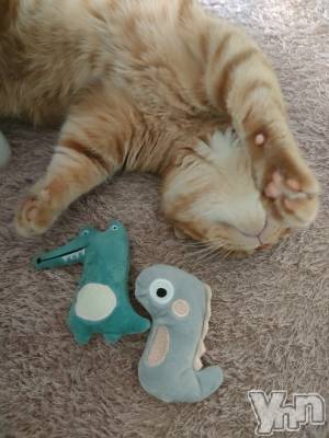 ���ܥ���Х��顦�����BRILLAR(�֥ꥸ�㡼��) ������3��31���̥�֥�����ฅ^•��•^ฅ�ˤ���