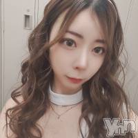 ���ܻԥ���Х��顦����� BRILLAR(�֥ꥸ�㡼��) �����β���(2����)