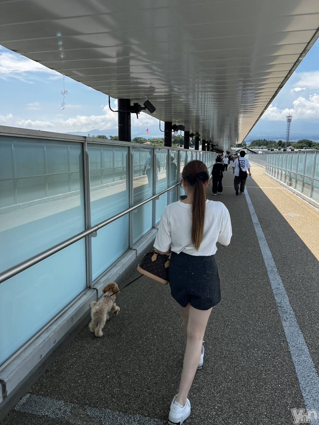 ���ܥ���Х��顦�����BRILLAR(�֥ꥸ�㡼��) ��2025ǯ7��23���̥�֥�����🐩��