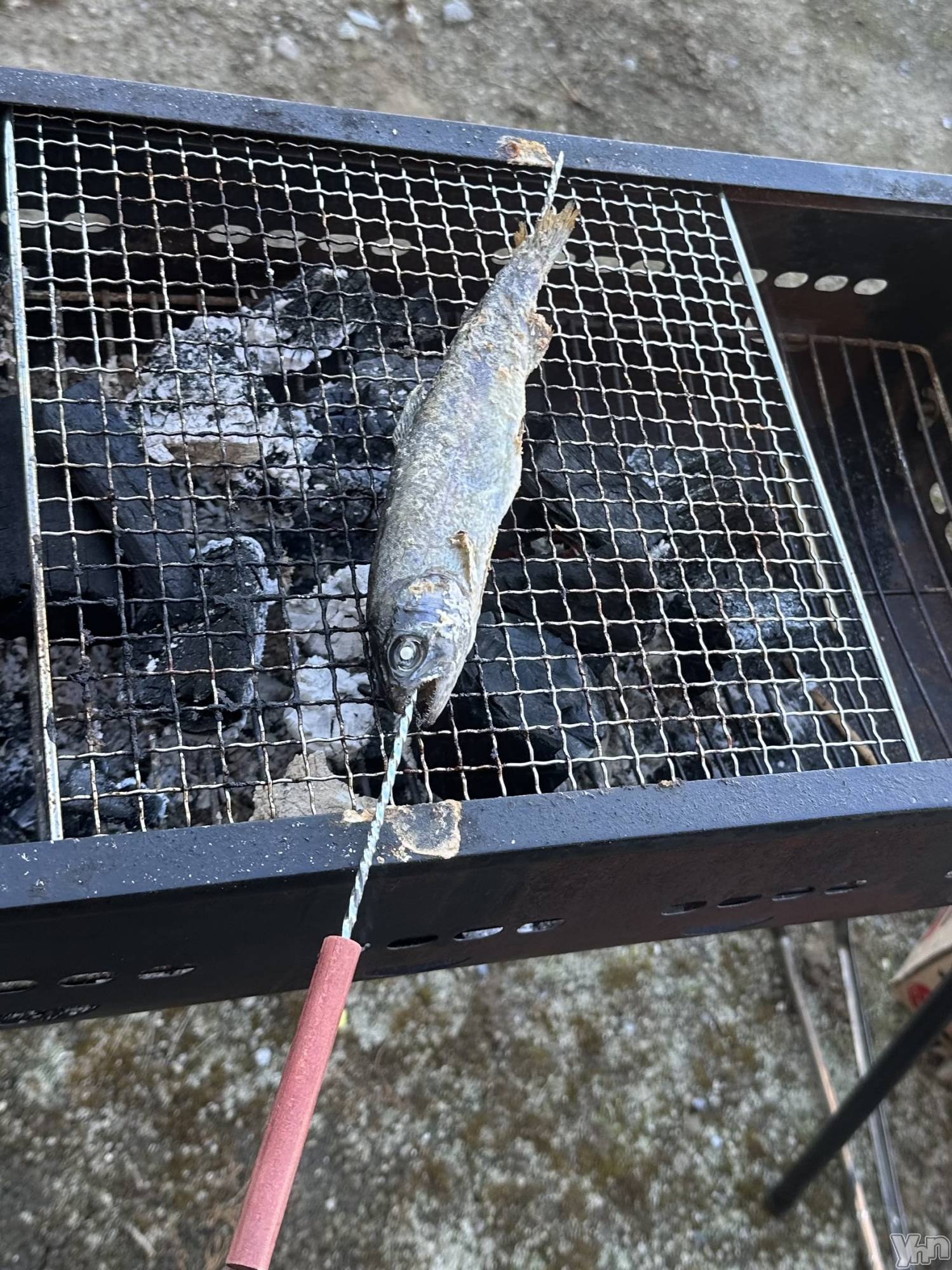 ���ܥ���Х��顦�����BRILLAR(�֥ꥸ�㡼��) ��2025ǯ7��23���̥�֥����ֵ���