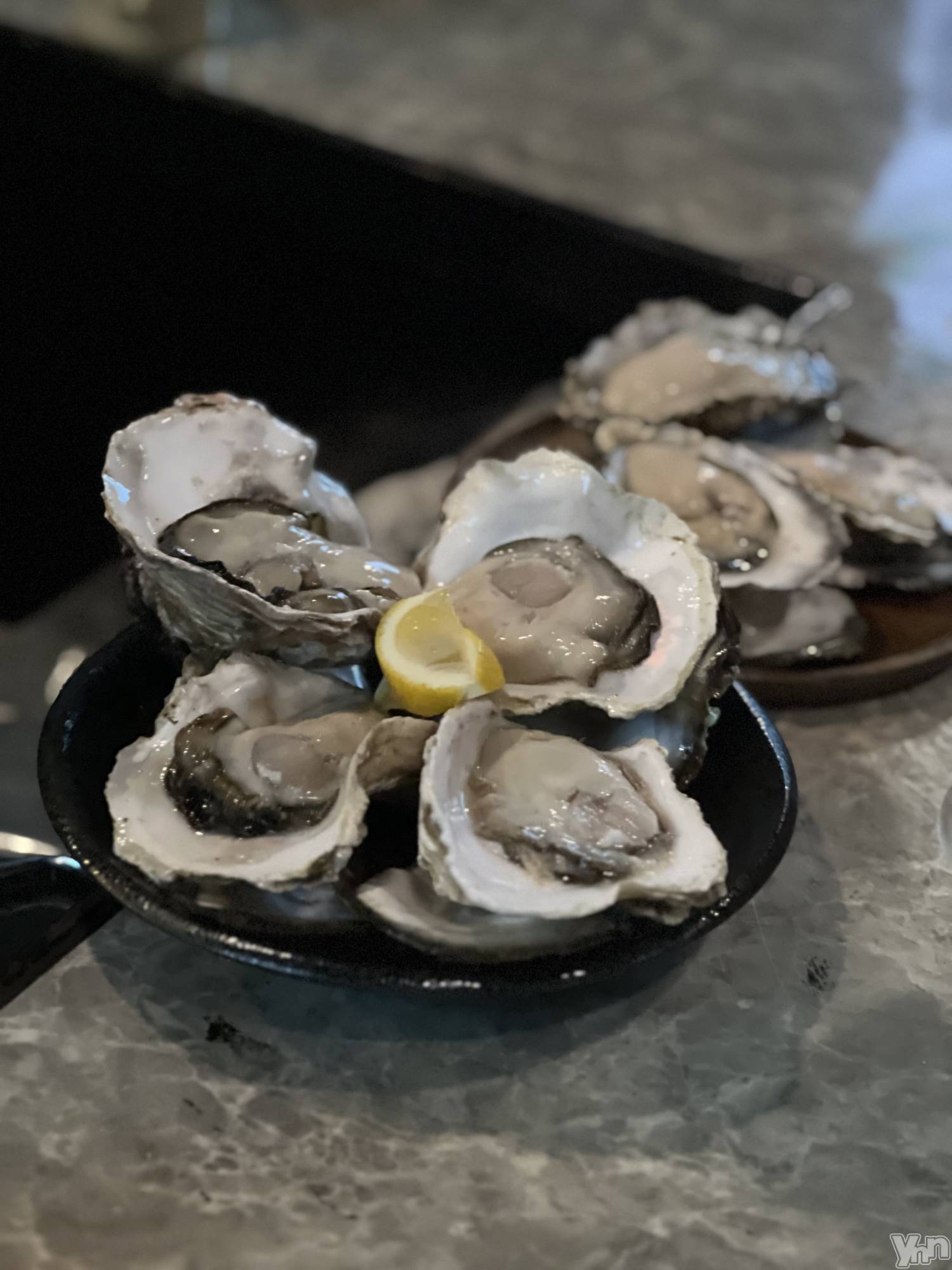 ���ܥ���Х��顦�����BRILLAR(�֥ꥸ�㡼��) ��2025ǯ6��25���̥�֥�����(*��﹃��*)��