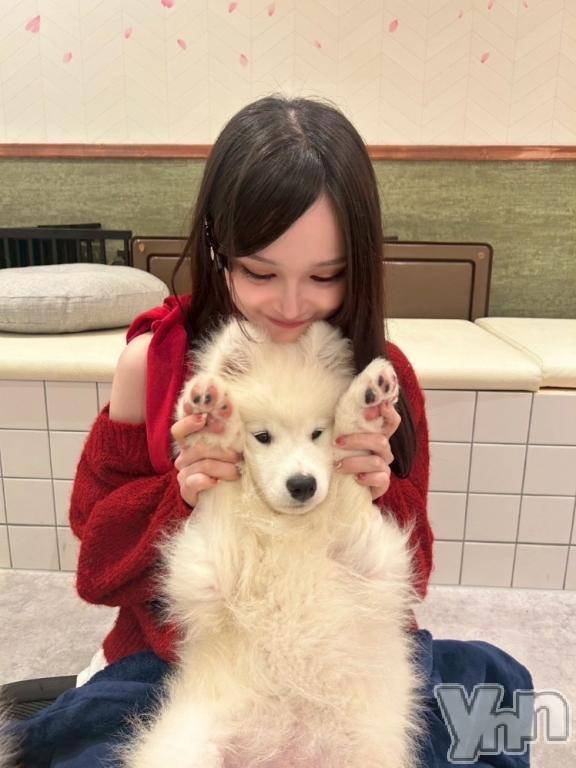 甲府ソープBARUBORA(バルボラ) あかね(20)の7月7日写メブログ「処女奪って？❤️」