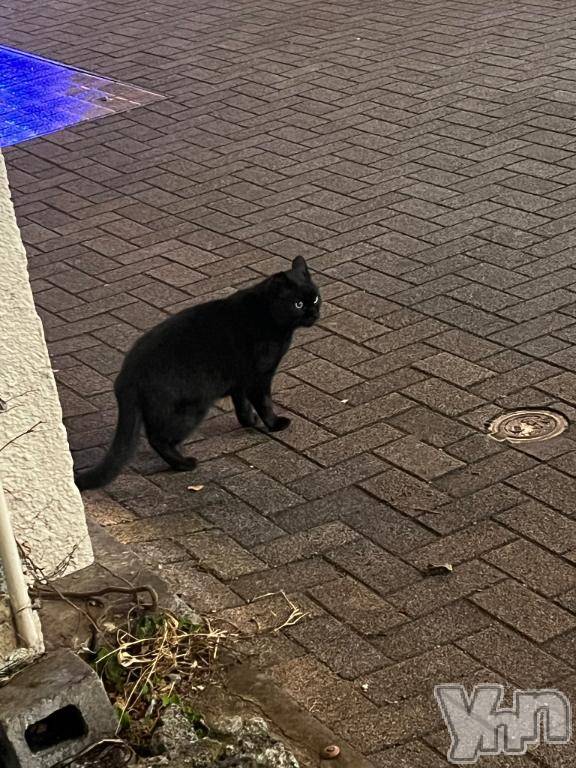 甲府ソープオレンジハウス みずき(21)の3月26日写メブログ「着いたよ～♡」