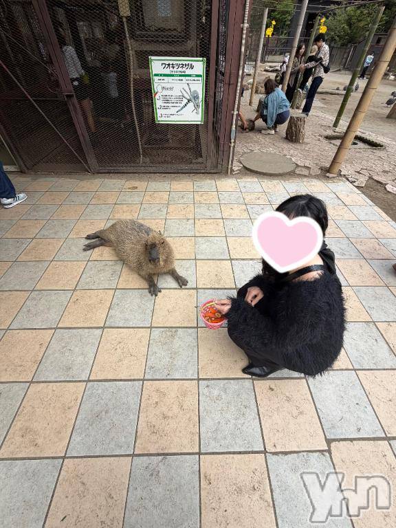 甲府ソープオレンジハウス みずき(21)の7月31日写メブログ「到着～🐰💞」