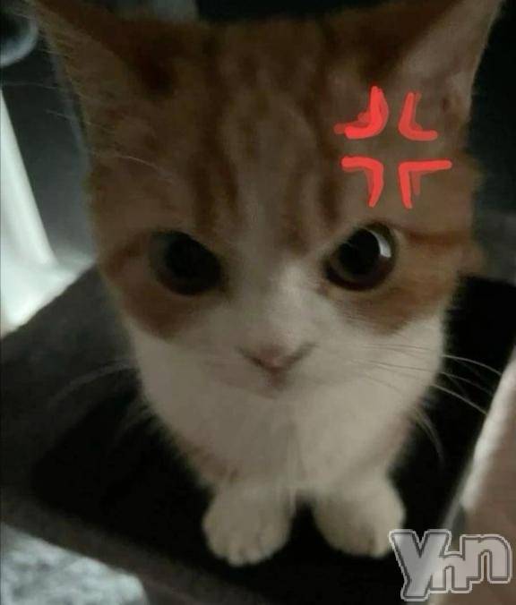 甲府ソープオレンジハウスみずき(21)の2025年4月29日写メブログ「お願いです。」