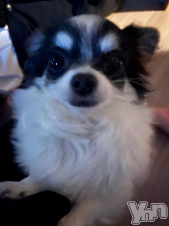 甲府ソープオレンジハウスみずき(21)の2025年11月5日写メブログ「ごめんね。」