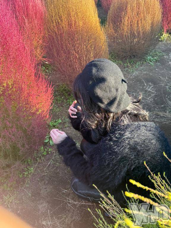 甲府ソープオレンジハウスみずき(21)の2025年11月11日写メブログ「おひさしぶりぶり🐰ᩚ💕」