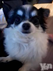 甲府ソープオレンジハウス みずき(21)の11月5日写メブログ「ごめんね。」