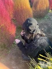 甲府ソープオレンジハウス みずき(21)の11月11日写メブログ「おひさしぶりぶり🐰ᩚ💕」