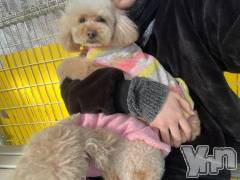 甲府ソープオレンジハウス みずき(21)の3月30日写メブログ「3日間🙏🏻💞」