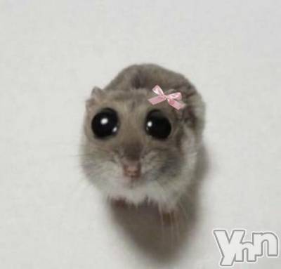 甲府ソープ オレンジハウス みずき(21)の8月1日写メブログ「ごめんなさい。」