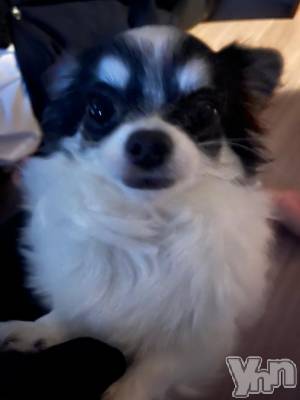 甲府ソープ オレンジハウス みずき(21)の11月5日写メブログ「ごめんね。」