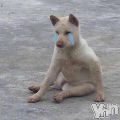 甲府ソープ オレンジハウス みずき(21)の11月23日写メブログ「🥲🥲🥲」