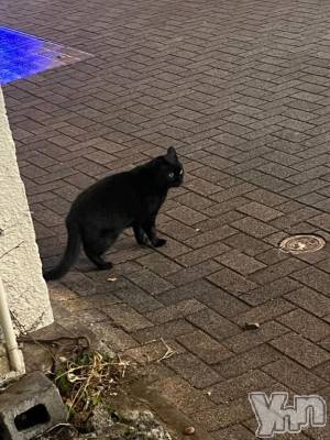 甲府ソープ オレンジハウス みずき(21)の3月26日写メブログ「着いたよ～♡」