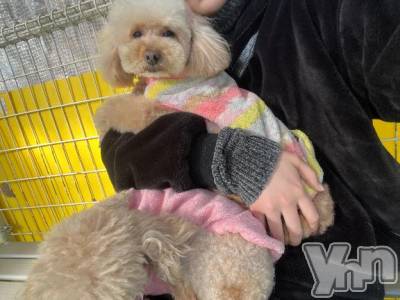 甲府ソープ オレンジハウス みずき(21)の3月30日写メブログ「3日間🙏🏻💞」