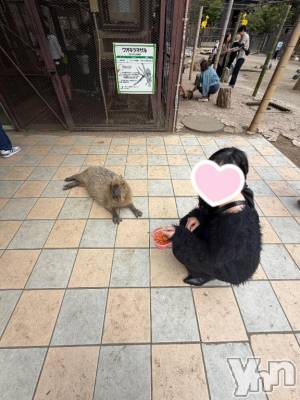 甲府ソープ オレンジハウス みずき(21)の7月31日写メブログ「到着～🐰💞」