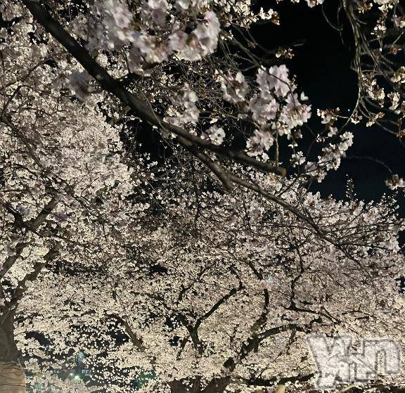 甲府ソープオレンジハウスすみ(27)の2026年4月6日写メブログ「🫰🏻」