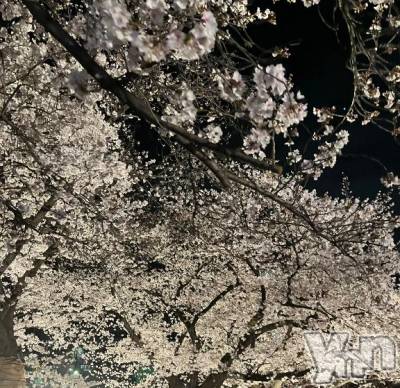 甲府ソープ オレンジハウス すみ(27)の4月6日写メブログ「🫰🏻」