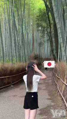 🇯🇵🎋