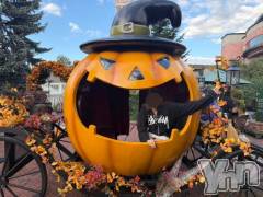 甲府ソープオレンジハウス かなの(25)の12月11日写メブログ「犬は外で走るしかなのさんは喜んで写真を撮る」