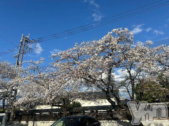 甲府ソープBARUBORA(バルボラ)あい(22)の2025年4月7日写メブログ「💙４日目終了💙」