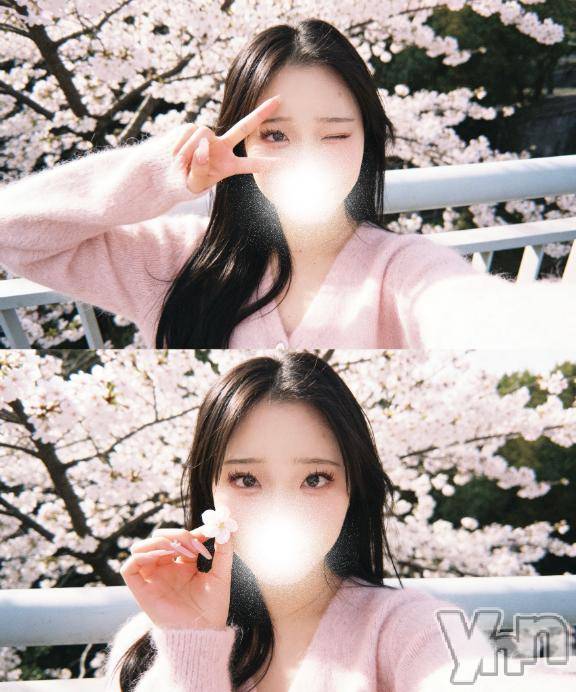 甲府ソープBARUBORA(バルボラ) うさ(21)の4月14日写メブログ「見逃さないで‼️」