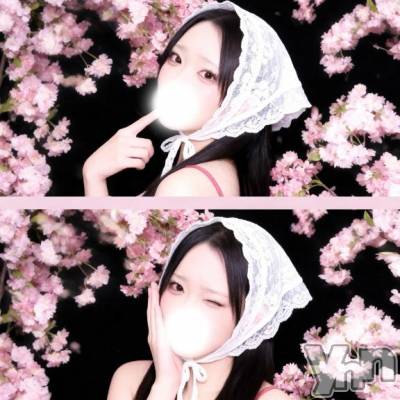 甲府ソープ BARUBORA(バルボラ) うさ(21)の4月18日写メブログ「6日目🌸」