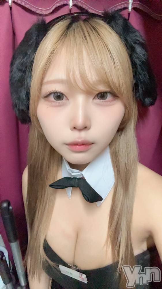���ܥ��ʥå��������륺�С�Girl's Bar All-in(�����륤��)(�����륺�С������륤��) �����5��15���̥�֥����֤��塪��